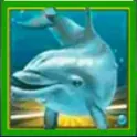 игровой автомат dolphins pearl символы